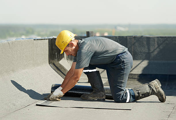 Best Energy-efficient Insulation  in Ingleside, TX
